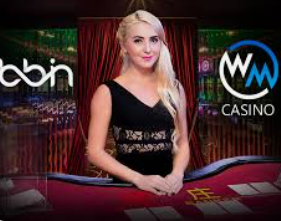 冰球突破豪华版手机版